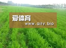 种植基地四