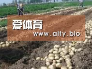 种植基地七(图1)