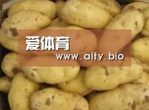 产品展示标题6