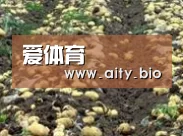 种植基地八(图1)
