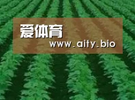 种植基地六